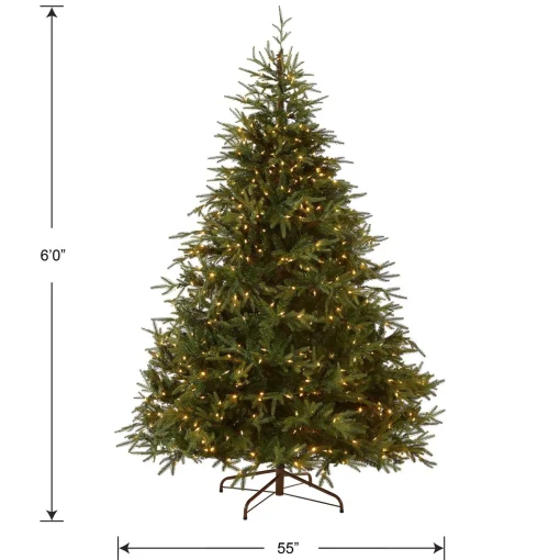 Full-National Tree Company Pre-Lit 'Feel Real' Artificial Full Christmas Tree, Green, Frasier Grande, Dual Color Led Lights, Includes Stand, 6 Feet