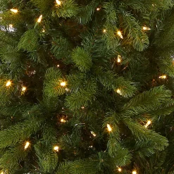 5Ft - 6Ft-National Tree Company Pre-Lit 'Feel Real' Artificial Slim Downswept Christmas Tree, Green, Douglas Fir, Dual Color Led Lights, Includes Stand, 6.5 Feet