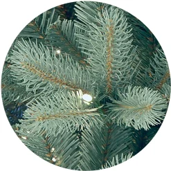 National Tree Company Full^Pre-Lit 'Feel Real' Artificial Full Downswept Christmas Tree, Green, Douglas Blue Fir, White Lights, Includes Stand, 7.5 Feet