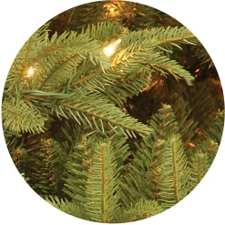 7Ft - 9Ft-National Tree Company Pre-Lit 'Feel Real' Artificial Full Christmas Tree, Green, Frasier Grande, White Lights, Includes Stand, 7.5 Feet