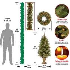 Christmas Bundles-National Tree Company Pre-Lit Frosted Berry Assortment