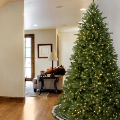Full-National Tree Company Pre-Lit Full Artificial Christmas Tree, Green, Jersey Fraser Fir, 'Feel Real', Includes Stand, 7.5 Feet