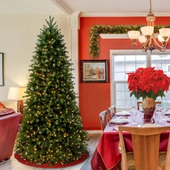 5Ft - 6Ft-National Tree Company Pre-Lit Slim Artificial Christmas Tree, Green, Jersey Fraser Fir, 'Feel Real', White Lights, Includes Stand, 6.5 Feet