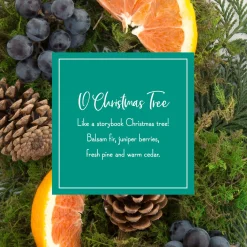 Christmas Tree Scent-National Tree Company Scented Ornaments, 2- Pack- 6Ct Bottle, O Christmas Tree, Fragrance-Infused Paper Sticks