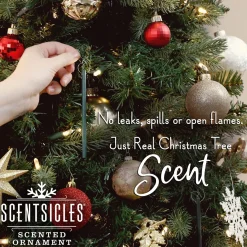 Christmas Tree Scent-National Tree Company Scented Ornaments, 2- Pack- 6Ct Bottle, O Christmas Tree, Fragrance-Infused Paper Sticks