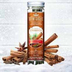 Christmas Tree Scent-National Tree Company Scented Ornaments, 2-Pack- 6Ct Bottle, 2 Dashes Of Cinnamon, Fragrance-Infused Paper Sticks
