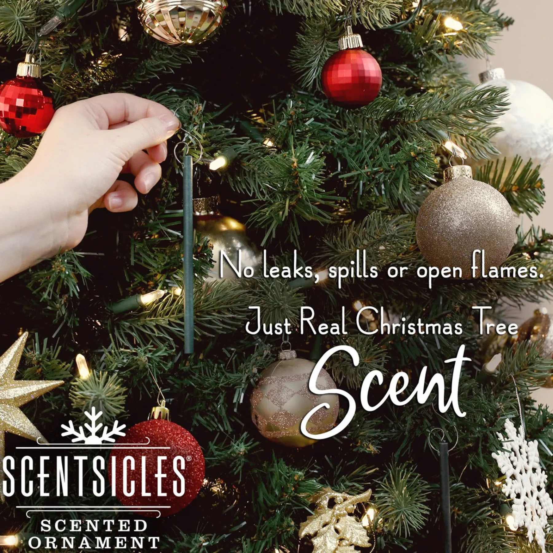 Harvest Scent-National Tree Company Scented Ornaments, 2-Pack- 6Ct Bottle, Spiced Pine Cones, Fragrance-Infused Paper Sticks