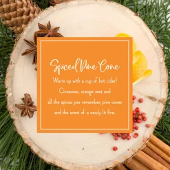 Christmas Tree Scent-National Tree Company Scented Ornaments, 2-Pack- 6Ct Bottle, Spiced Pine Cones, Fragrance-Infused Paper Sticks