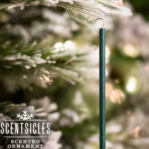 Christmas Tree Scent-National Tree Company Scented Ornaments, 2-Pack- 6Ct Bottle, Spiced Pine Cones, Fragrance-Infused Paper Sticks