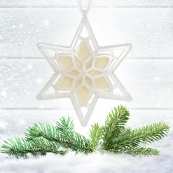 Christmas Tree Scent-National Tree Company Scentsicles, Scented Star Ornament, White Winter Fir, 2-Pack