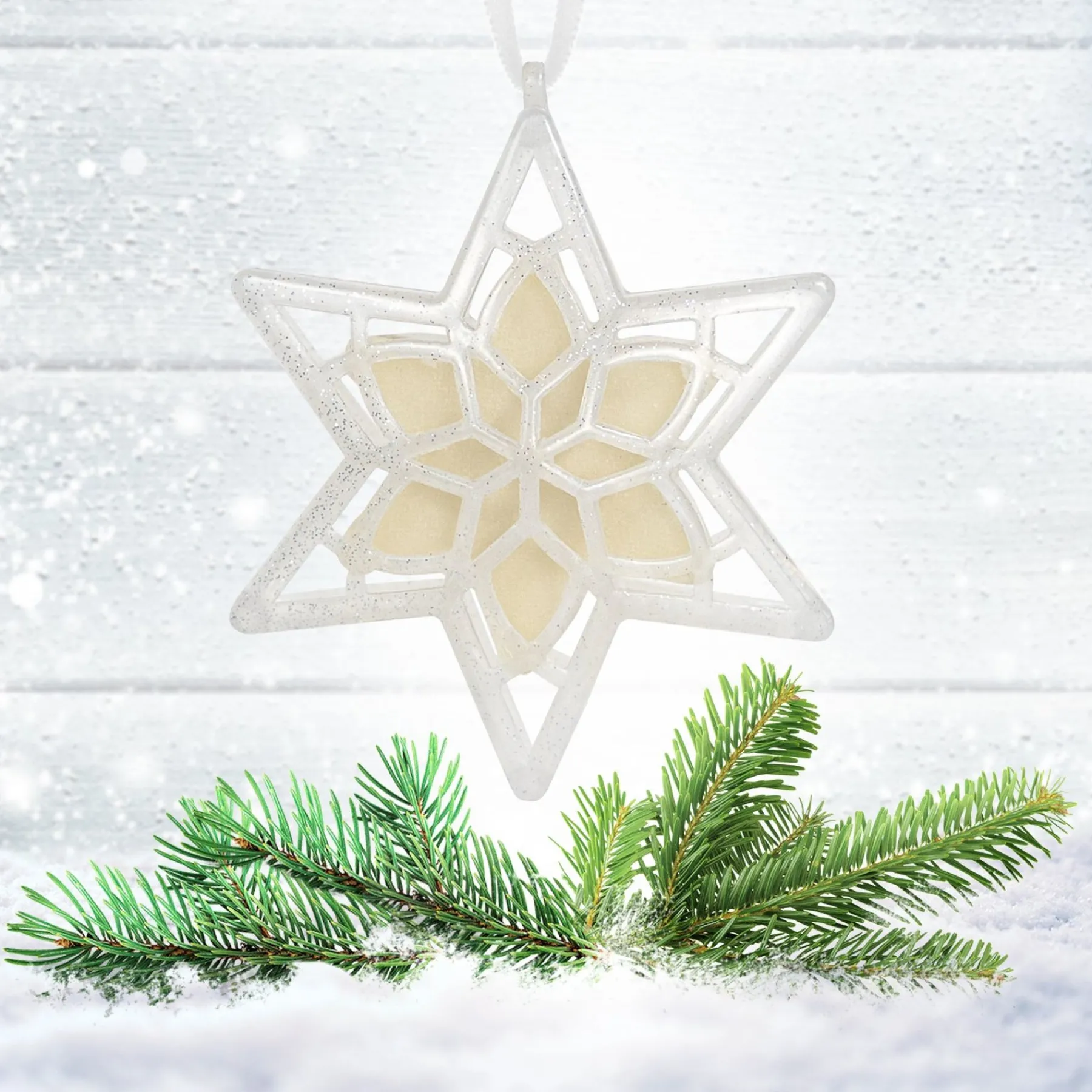 Christmas Tree Scent-National Tree Company Scentsicles, Scented Star Ornament, White Winter Fir, 2-Pack